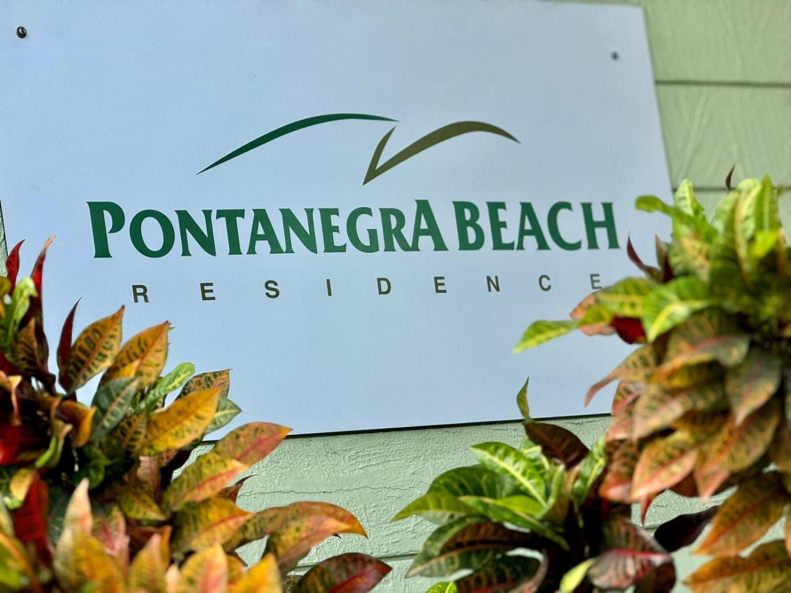 Edy Hospedagens Beira-Mar Flat 310 Com Vista Para O Morro Do Careca, Piscina E Localizacao Privilegiada Натал Екстериор снимка